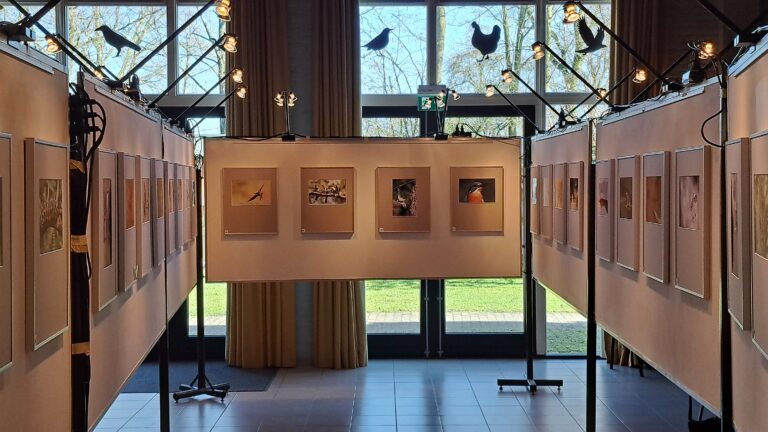 Fototentoonstelling 2025 - Overzicht