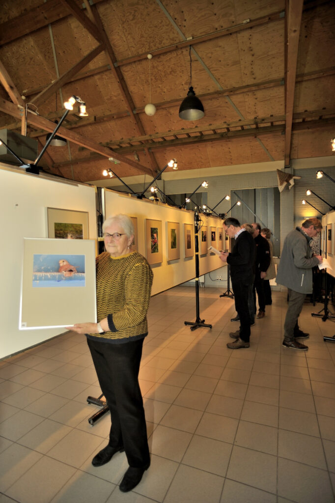 Fototentoonstelling 2025 - Trees Damen Zie me zitten