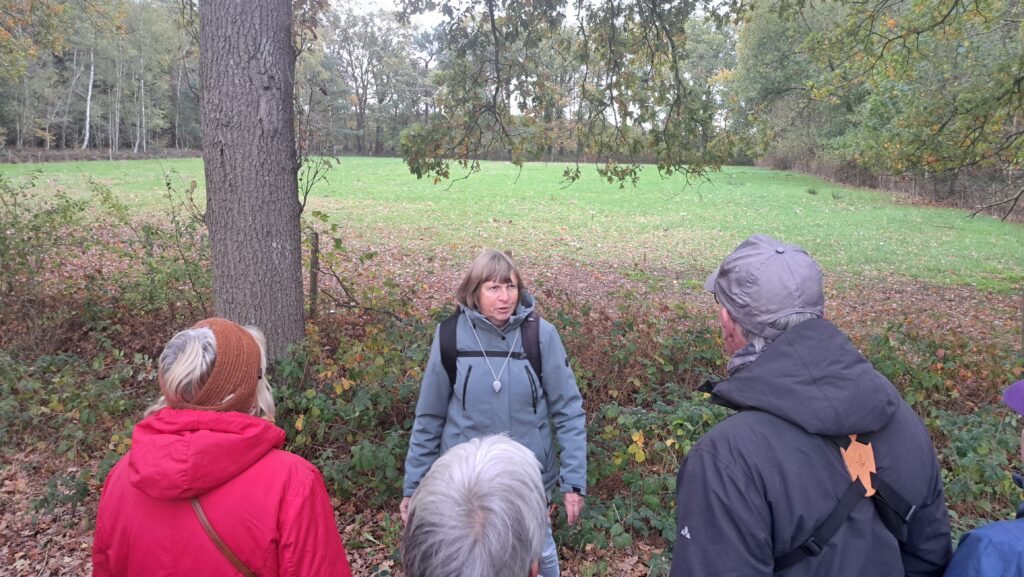 Marieke voor veld met grote parasolzwam