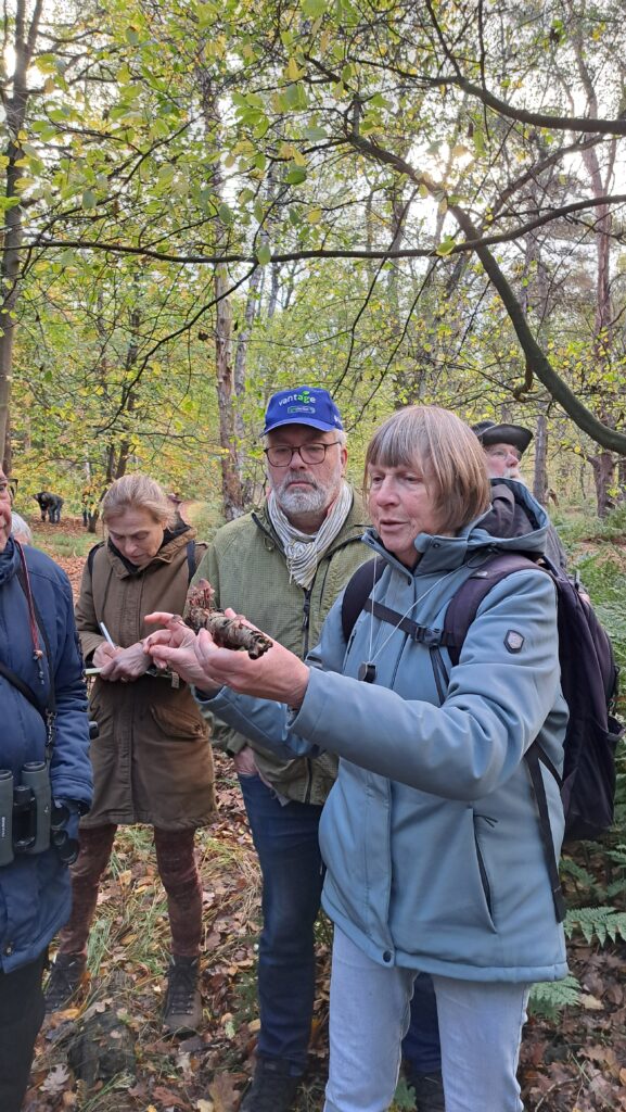 Marieke met Grote bloedsteelmycena op tak