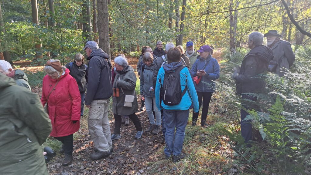 Keuvelen over paddenstoelen