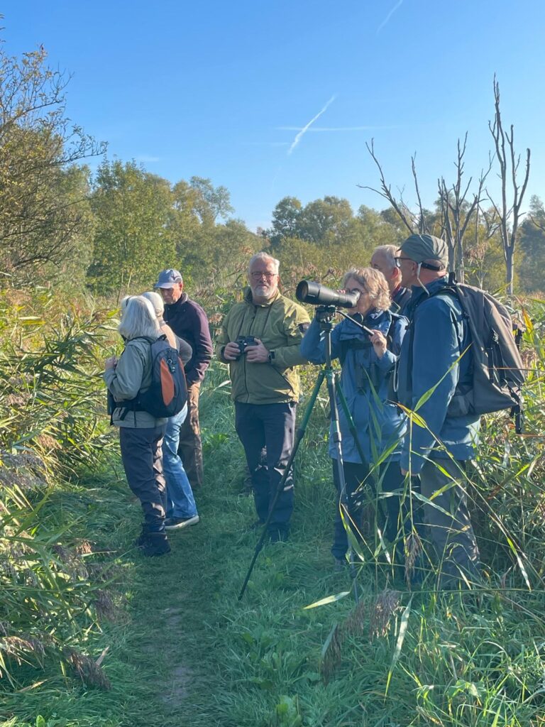 250928 - Biesbosch 02 - Wandelteam