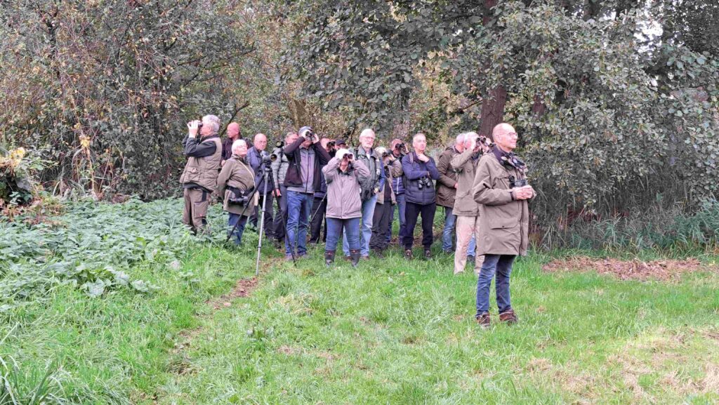 251012 04 Halsche Beemden - Sijsjes te zien