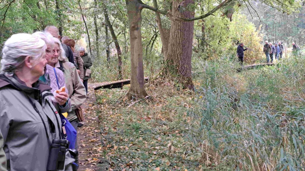 251012 07 Halsche Beemden - Vlonderpad