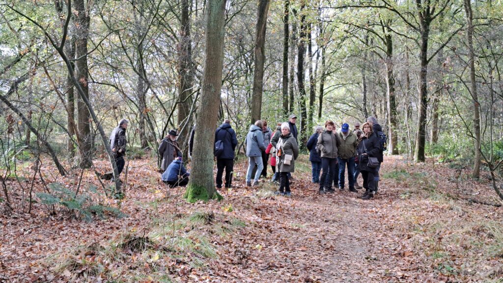 Rondom de grote stinkzwam