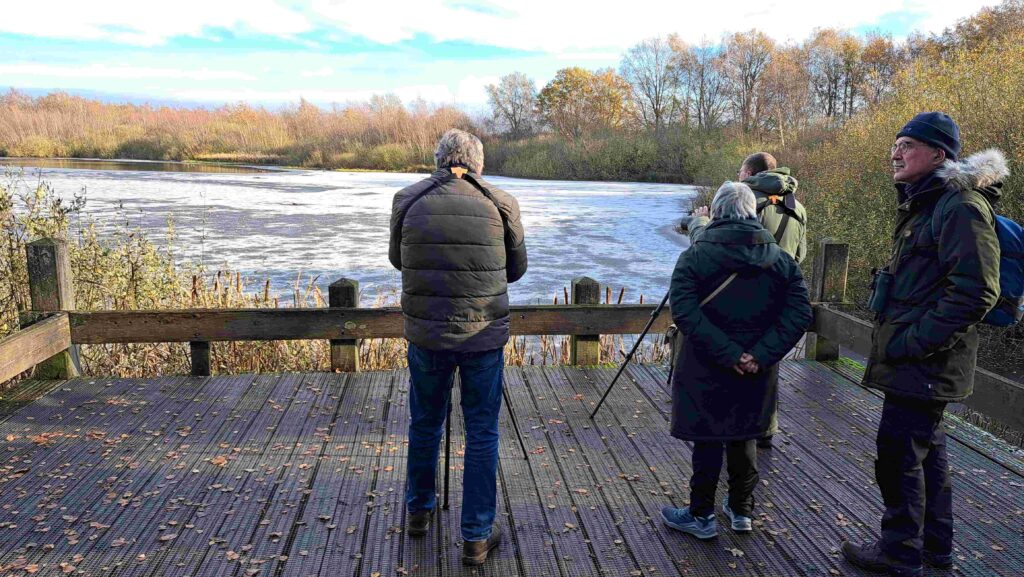 251123 Groote Peel - Uitkijkpunt over een plas