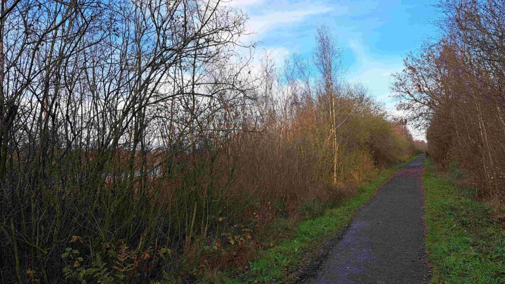 251123 Groote Peel - Wandeling tussen struweelhagen