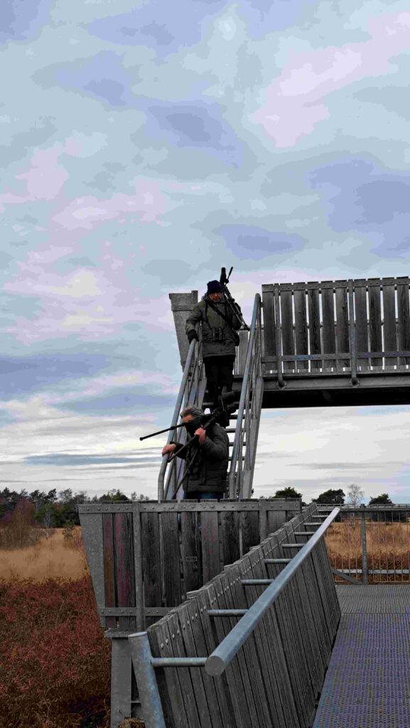 251123 Groote Peel - Beklimmen van uitkijkpunt was soms een beproeving