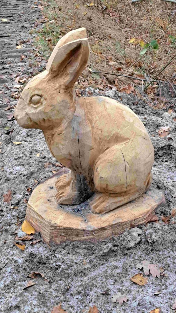 251123 Groote Peel - Houten kunst konijn langs het pad