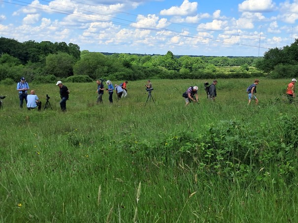 Orchideën spotten - Brenne 2025