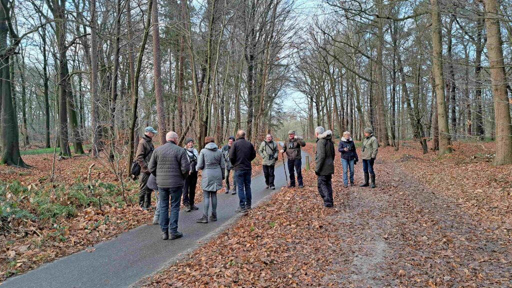 01 Buisse Heide 28122025