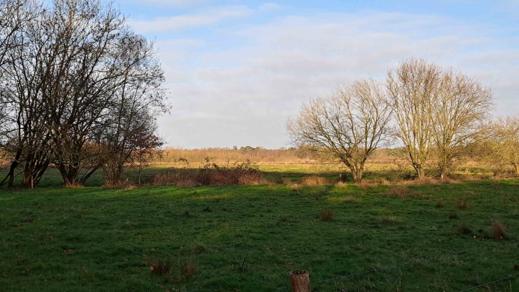 04 Buisse Heide 28122025