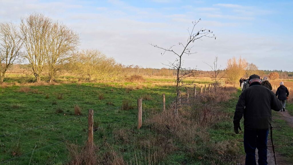 05 Buisse Heide 28122025