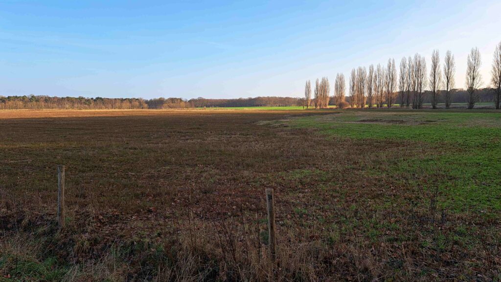 06 Buisse Heide 28122025