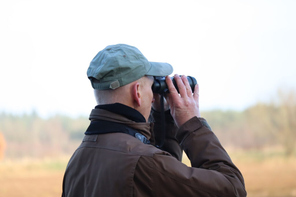 07 Buisse Heide 28122025