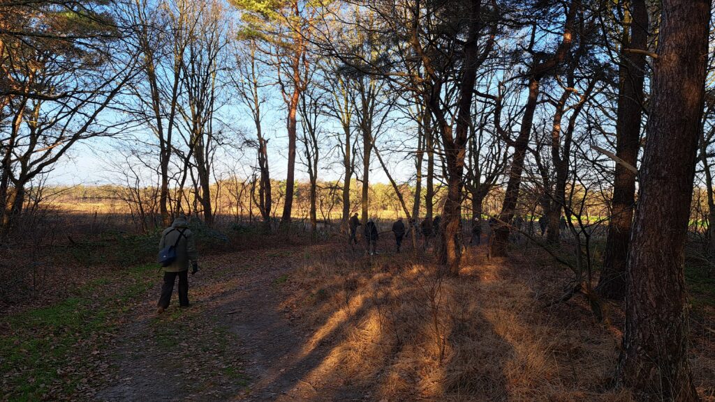 11 Buisse Heide 28122025