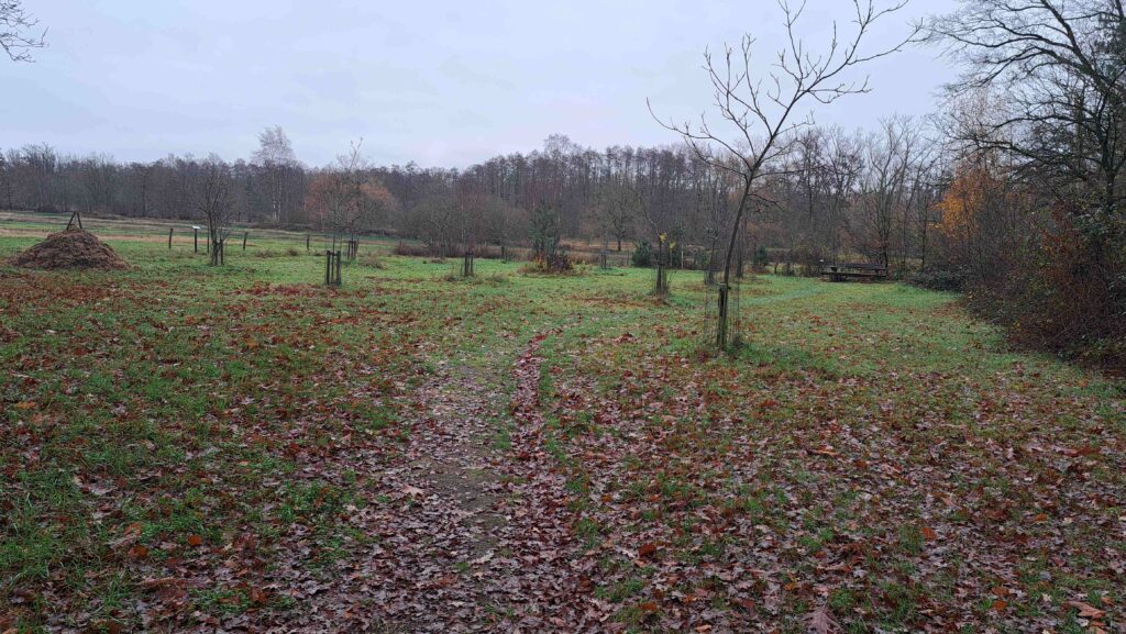 251207 Vloeiweide - Landschap