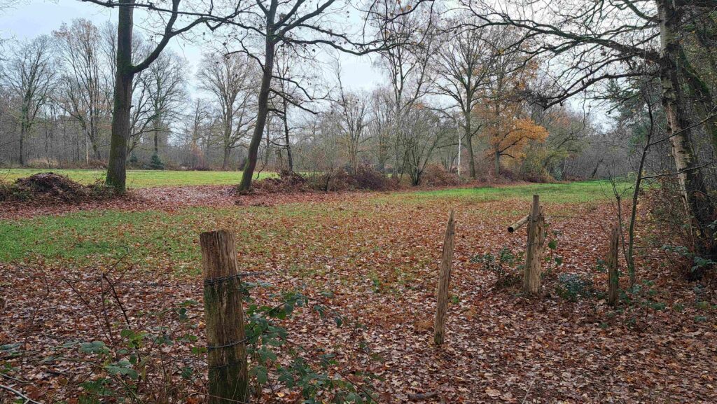 251207 Vloeiweide - Landschap