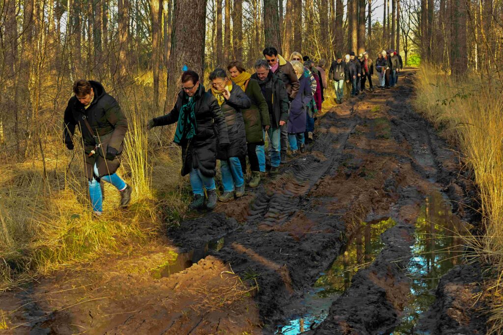 Stephen - Winterwandeling - 20260125-DSC_5251