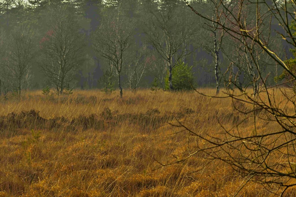 Stephen - Winterwandeling - 20260125-DSC_5259