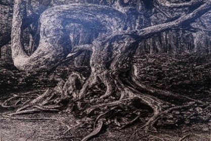 1e Prijs landschappen 2026