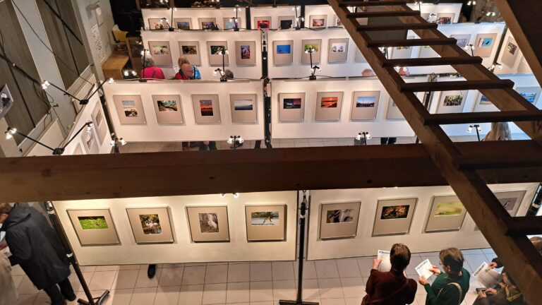 2026 VNWGZ Fototentoonstelling 03