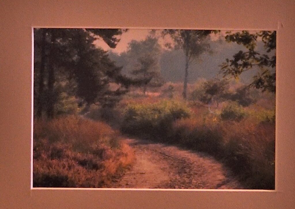 3e Prijs Landschap 2026