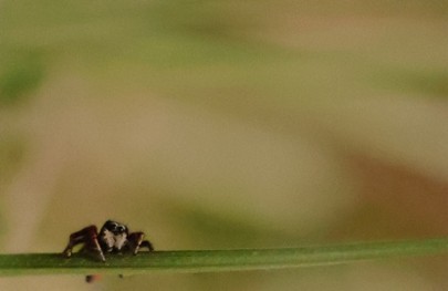 Publieksprijs 01- 2026