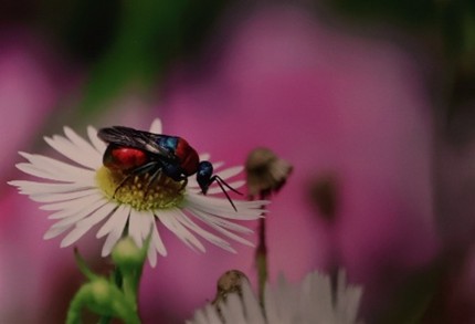 Publieksprijs 02- 2026