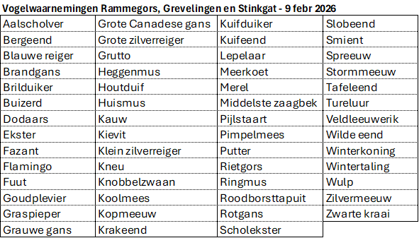 Waarnemingen Rammegors en Grevelingen 8-2-2026