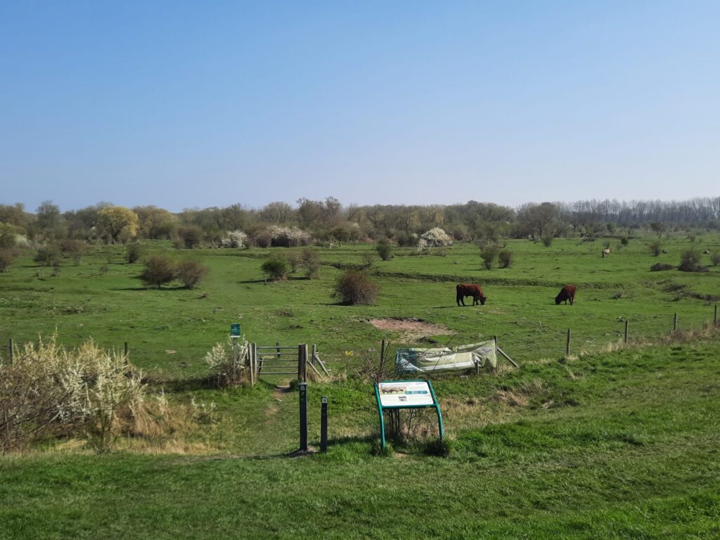 01 Gerard -Landschap Slikken van de Heen vanaf de dijk