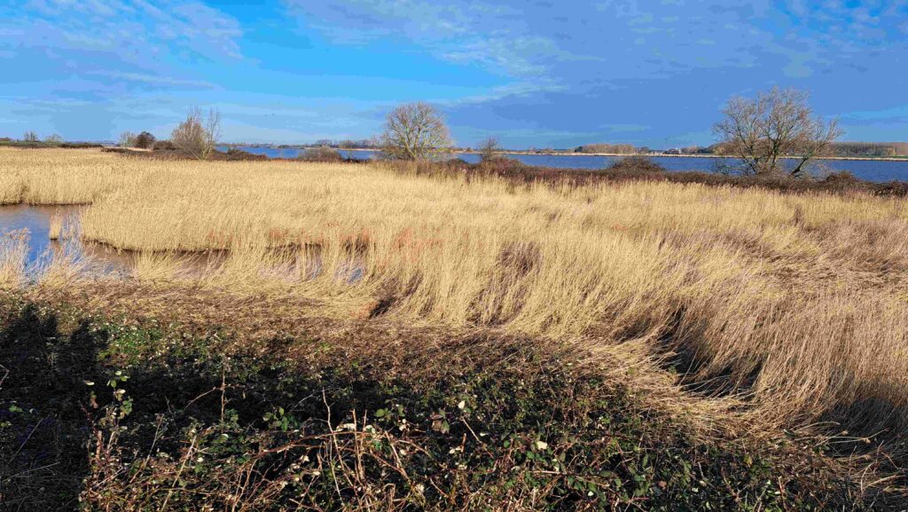 260301 Tiengemeten - 04 Landschap