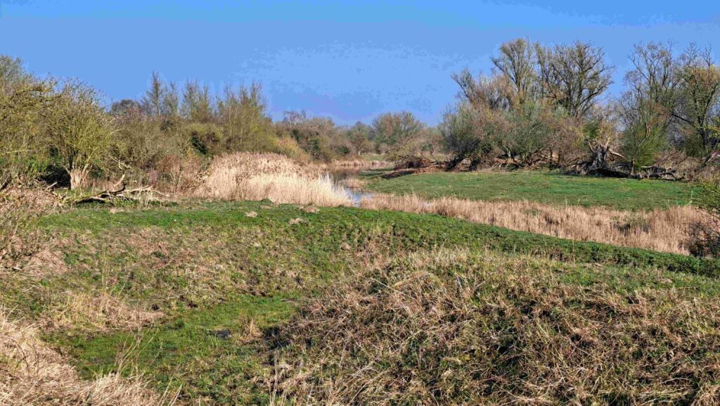 15 Kees - Landschap Slikken van de Heen01