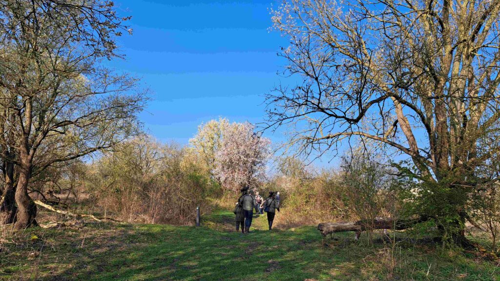 16 Kees - Landschap Slikken van de Heen02