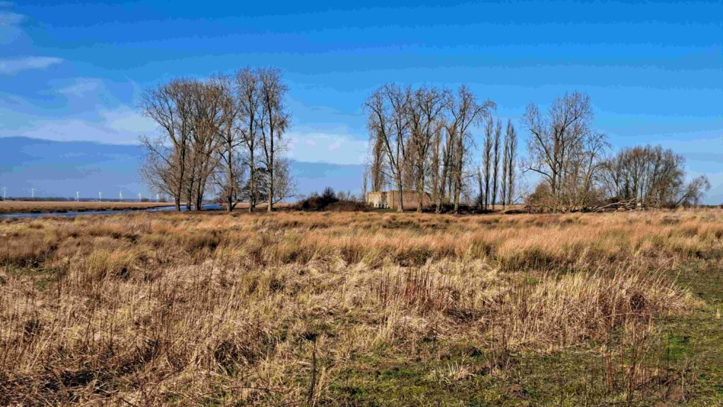 260301 Tiengemeten - 23 Aardappelloods