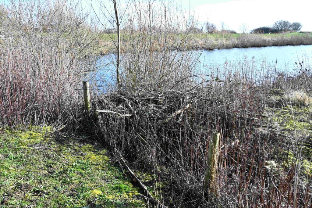 260301 Tiengemeten - 24 Beverburcht