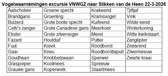 260322 Vogelwaarnemingen - Slikken van de Heen