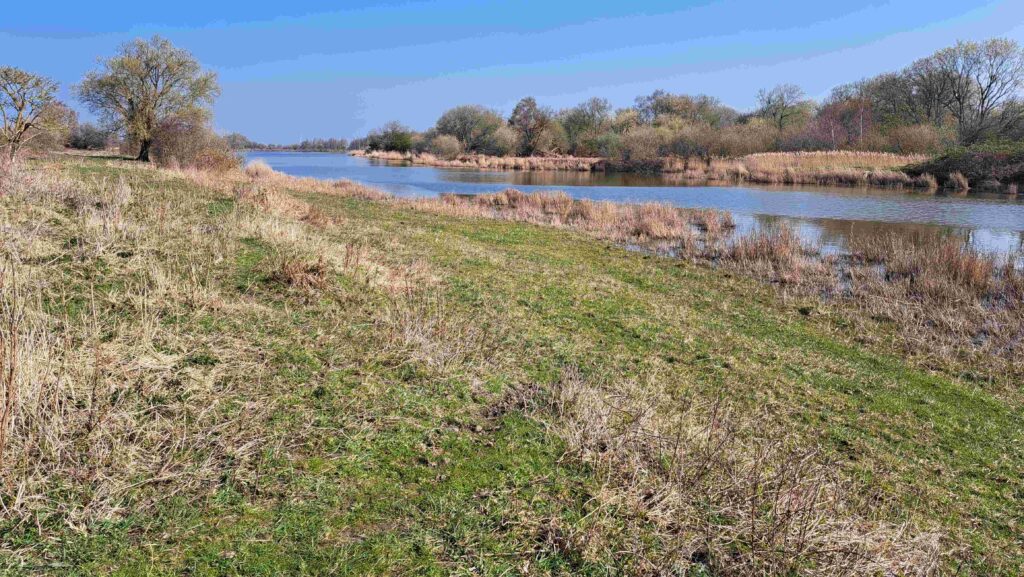 28 Kees - Landschap Slikken van de Heen04