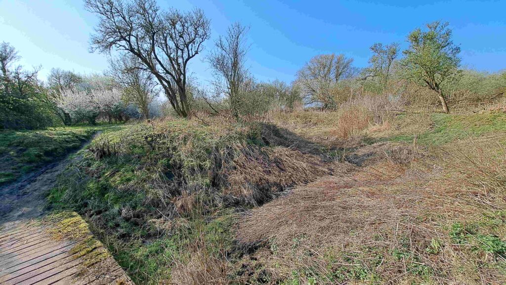 34 Kees - Landschap Slikken van de Heen03
