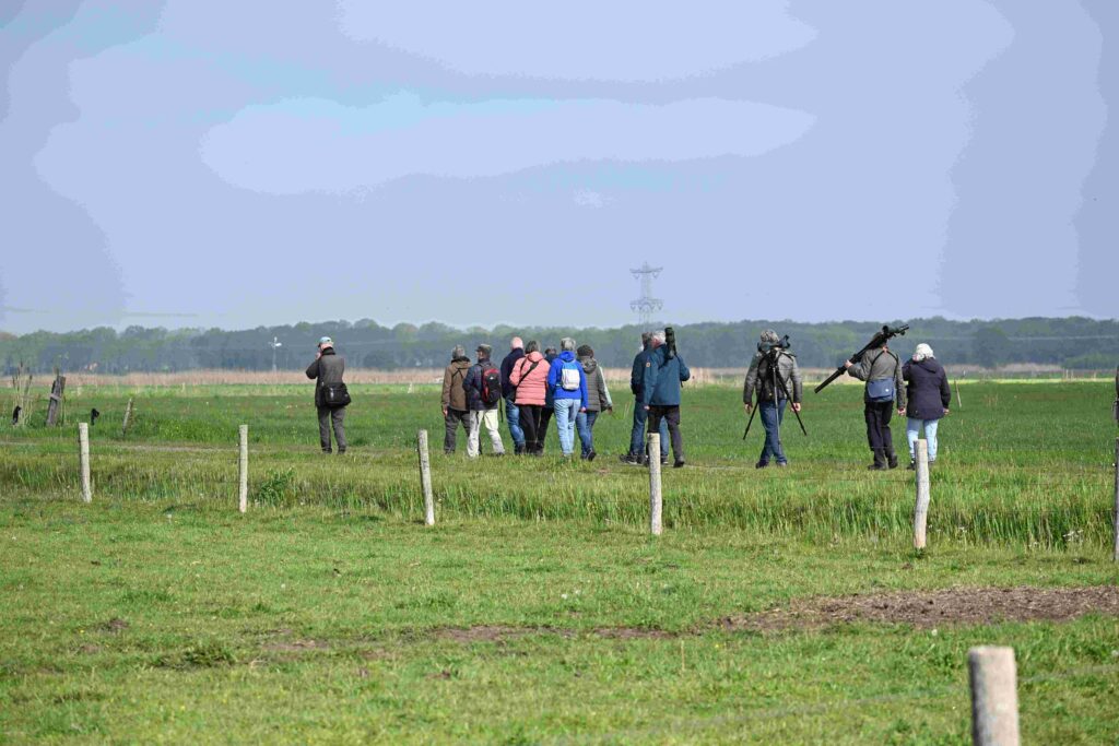 04 260425 Lage Vuchtpolder Breda - Vogelaars VNWGZ - Kees
