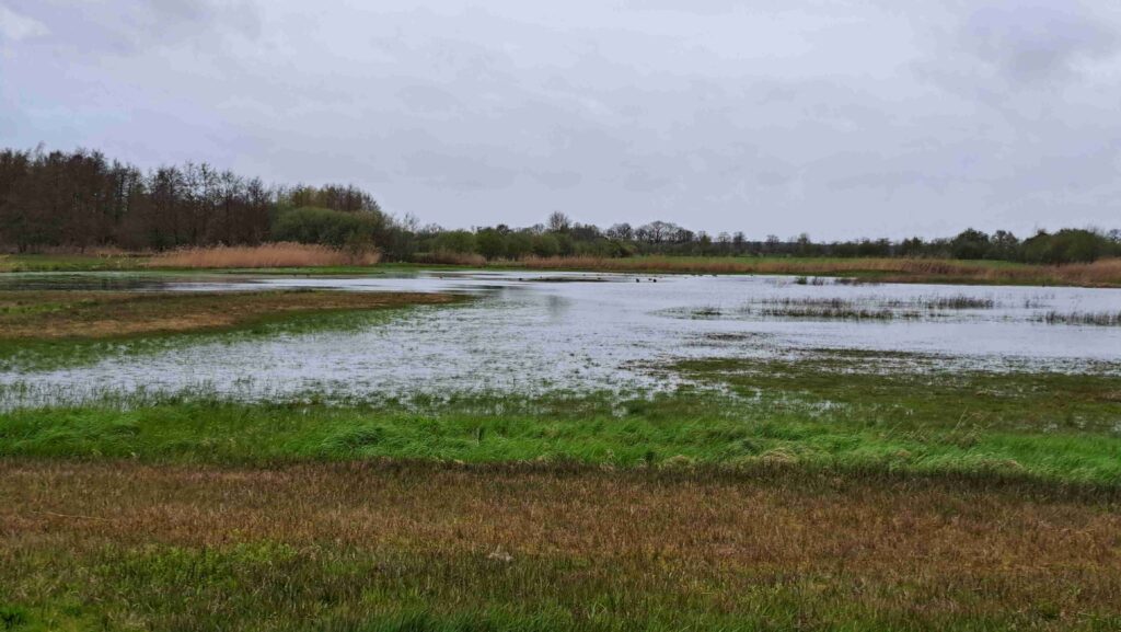 05 Matjes 260405 - Waterrijk landschap - foto Kees