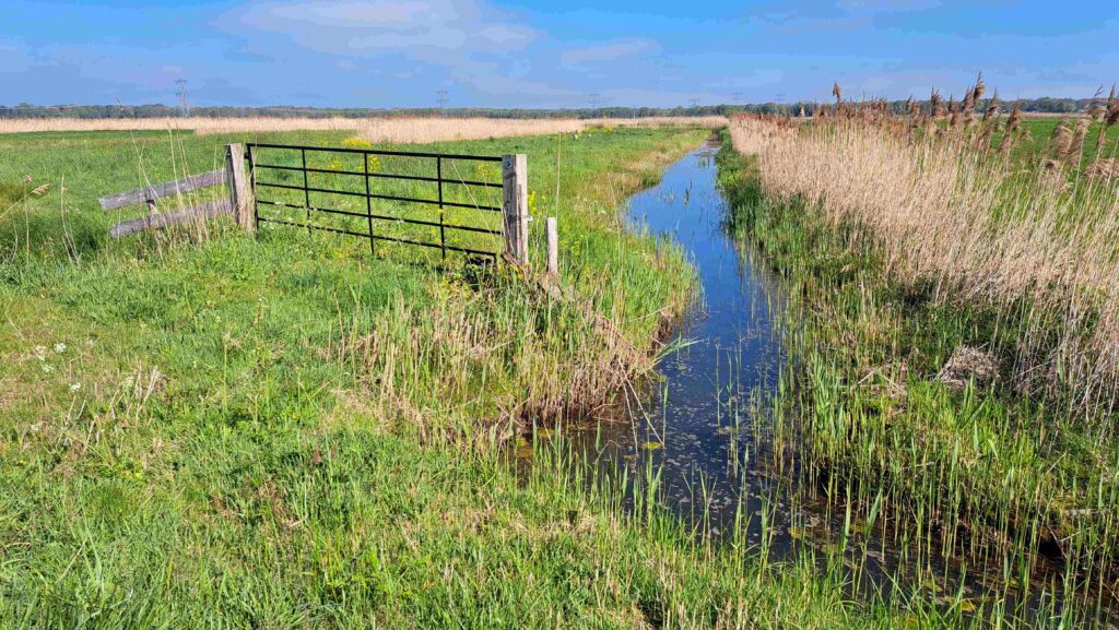 10 260425 Lage Vuchtpolder Breda - Natuurlandschap - Kees