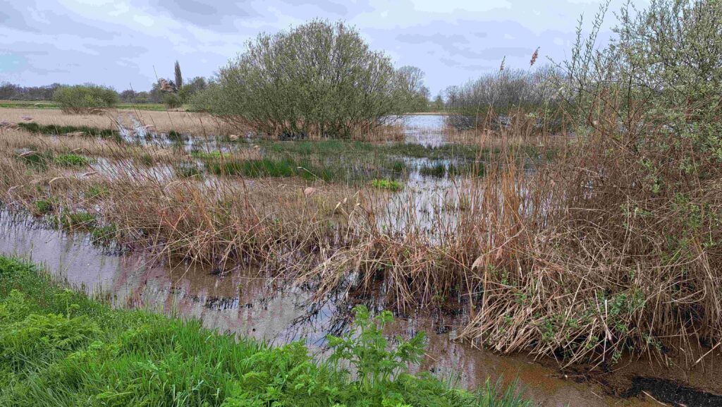 14 Matjes 260405 - Waterrijk landschap - foto Kees