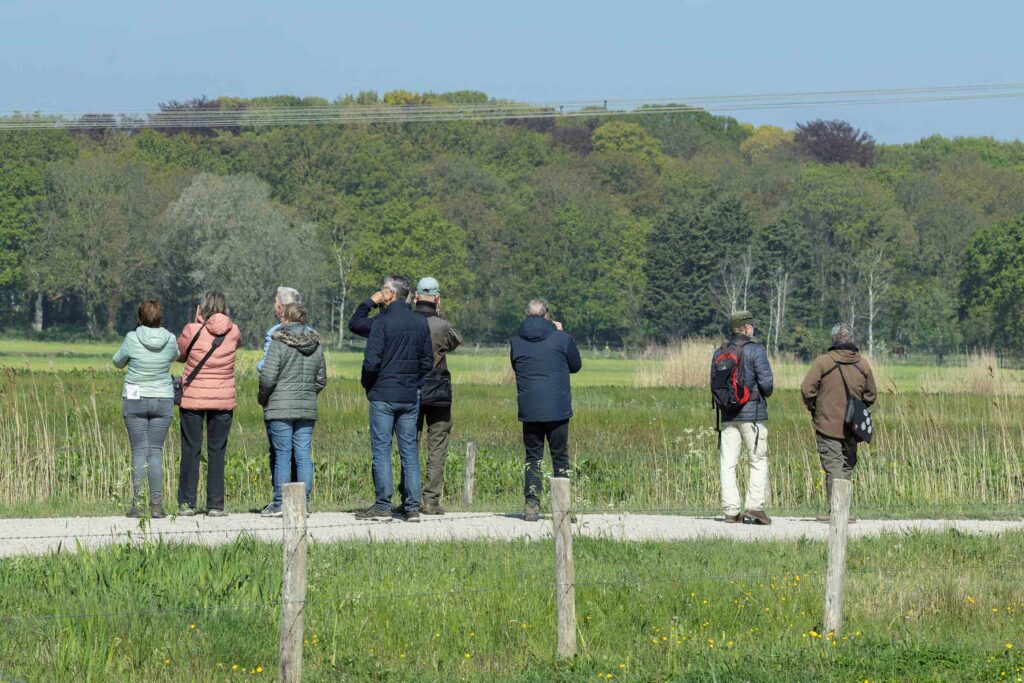 16 260425 Lage Vuchtpolder Breda - Vogelaars VNWGZ - Heleen