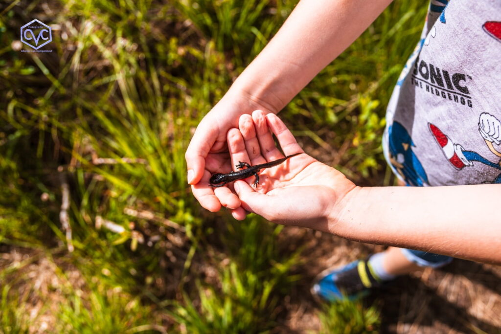 260523 Waterbeesten zoeken in Krogten week van biodiversiteit 08