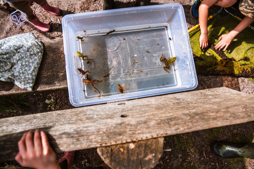 260523 Waterbeesten zoeken in Krogten week van biodiversiteit 11