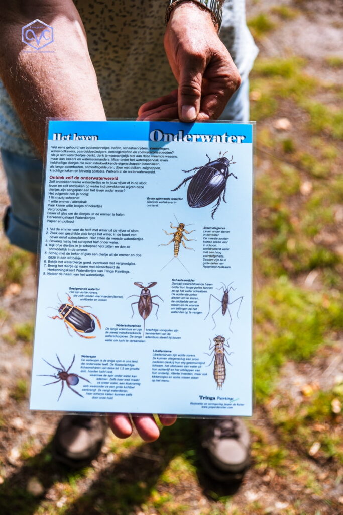 260523 Waterbeesten zoeken in Krogten week van biodiversiteit 14
