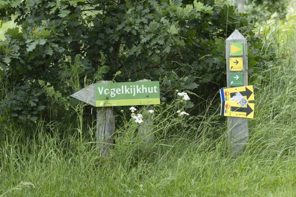 260607 Markiezaat 21 (Heleen)