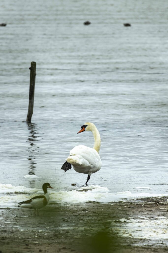 260607 Markiezaat 24 (Heleen)