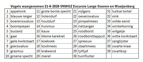 260621 Vogelwaarnemingen VNWGZ excursie Lange Gooren en Waaijenberg